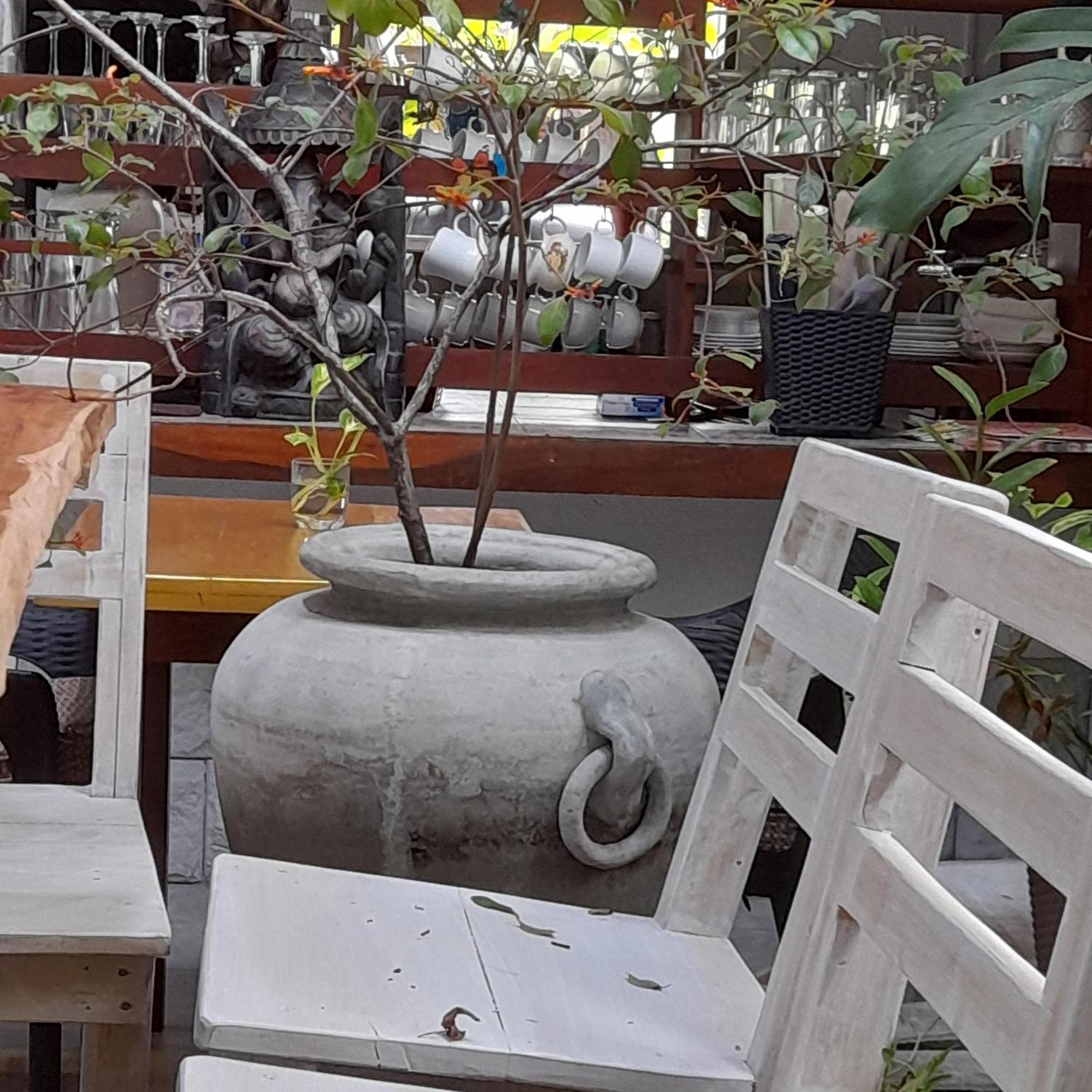 Shoba Traveller'S Tree Homes Stay Galle Kültér fotó
