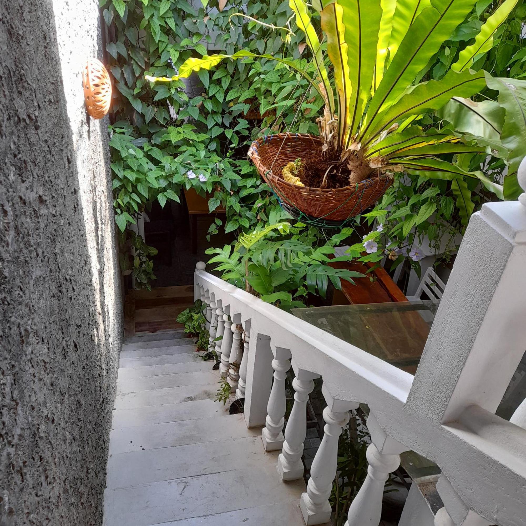 Shoba Traveller'S Tree Homes Stay Galle Kültér fotó