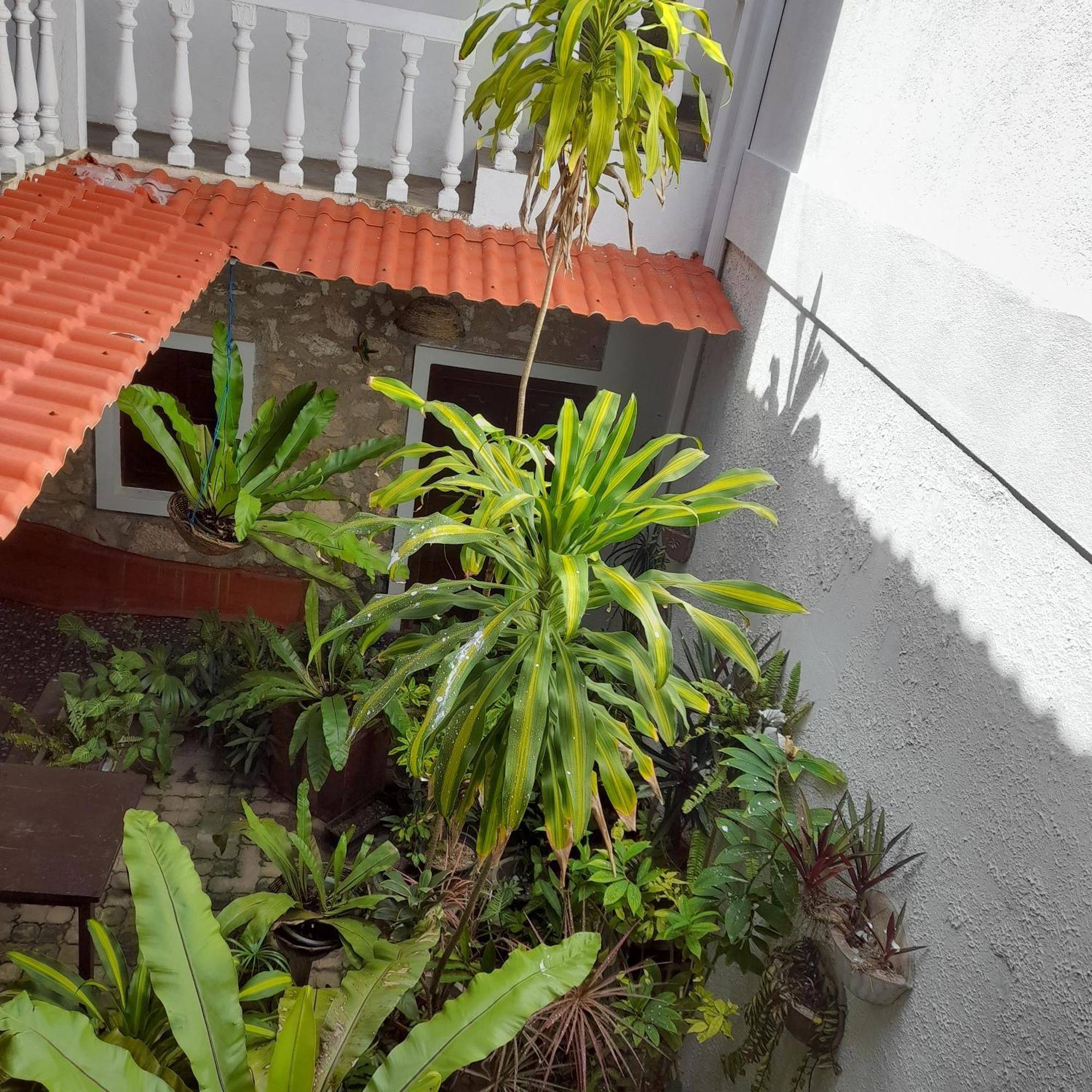 Shoba Traveller'S Tree Homes Stay Galle Kültér fotó