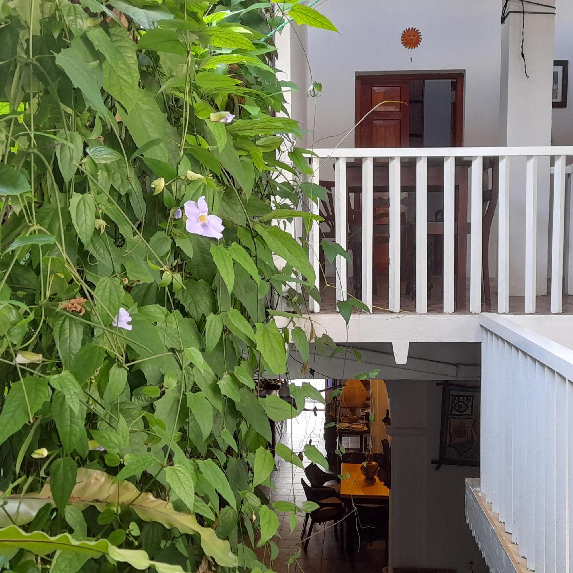 Shoba Traveller'S Tree Homes Stay Galle Kültér fotó