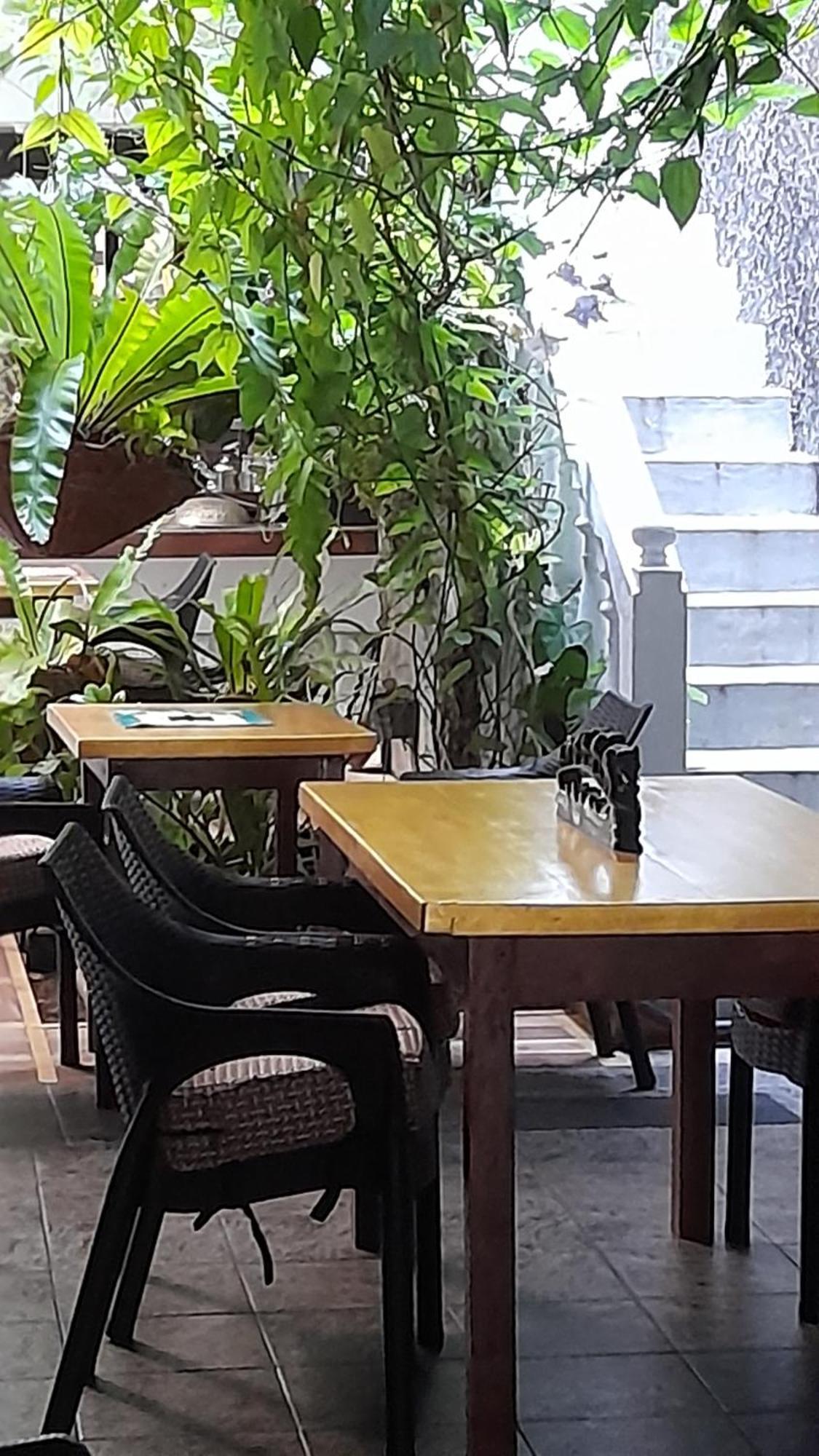 Shoba Traveller'S Tree Homes Stay Galle Kültér fotó
